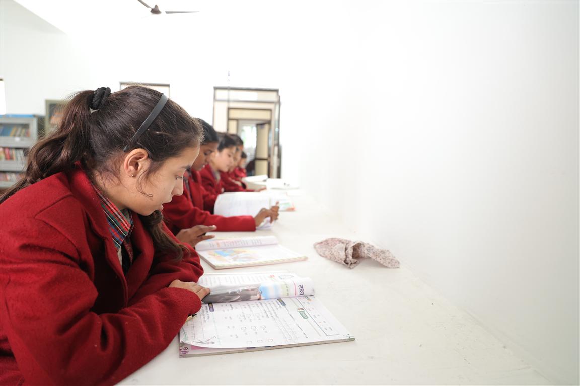 School Library